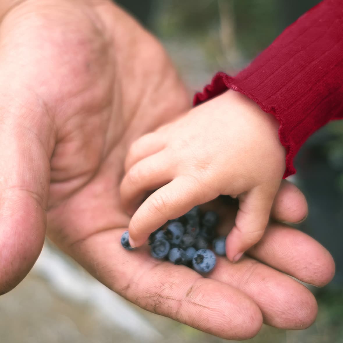 scheidt-kalthoff-schwerpunkte-erbrecht1-2